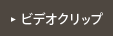 ビデオクリップ
