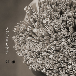 Choji（チョージ）アルバム一覧
