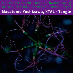 Masatomo Yoshizawa,XTAL（ヨシザワ マサトモ,クリスタル）アルバム一覧