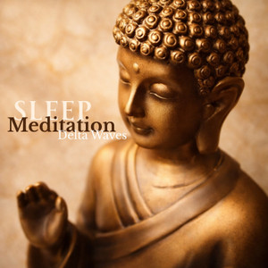 Asleep Healing Sounds Labs『Sleep Meditation Delta Waves』のアルバムページ ...