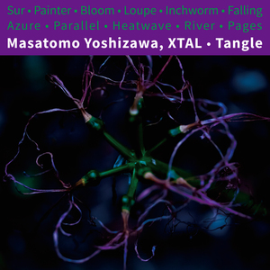 Masatomo Yoshizawa,XTAL（ヨシザワ マサトモ,クリスタル）アルバム一覧
