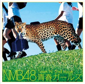 NMB48 Team N（エヌエムビーフォーティーエイトチームエヌ）アルバム一覧